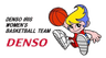Denso Iris W